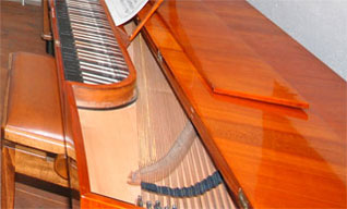 Musiksammlung Vleugels